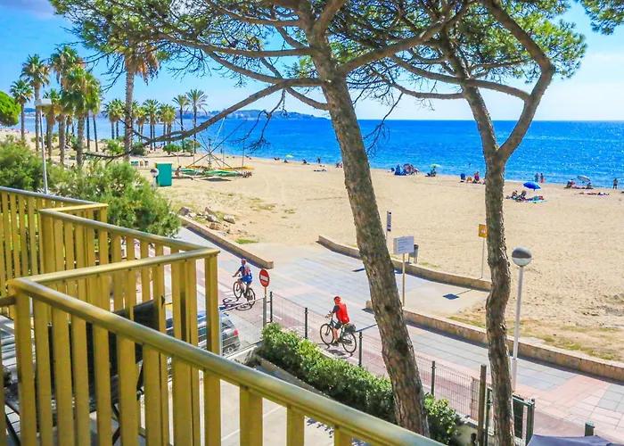 公寓 Litoral Costa Dorada - Playmar Only Families 维拉福林